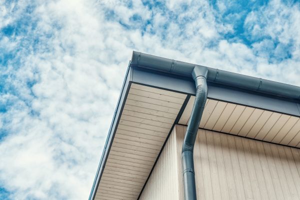 Gutter Fascia Repair in Flowery Branch
